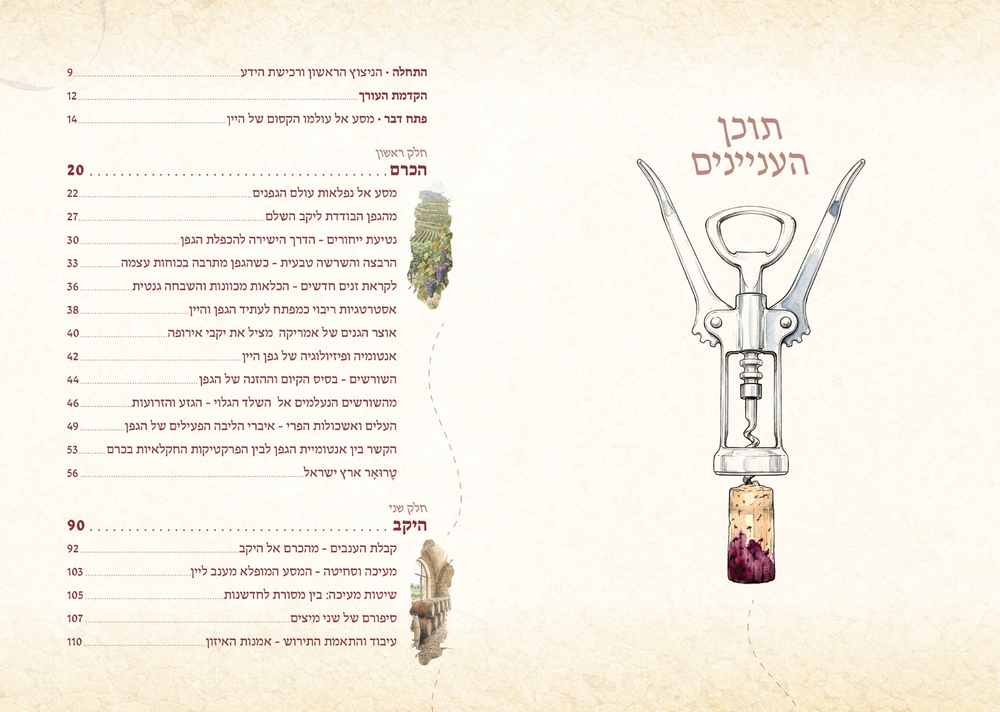תוכן העניינים של הספר
